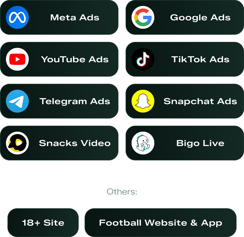 Meta, Google, YouTube, TikTok, Telegram, Snapchat, Snacks Video, Bigo Live, and other platforms
